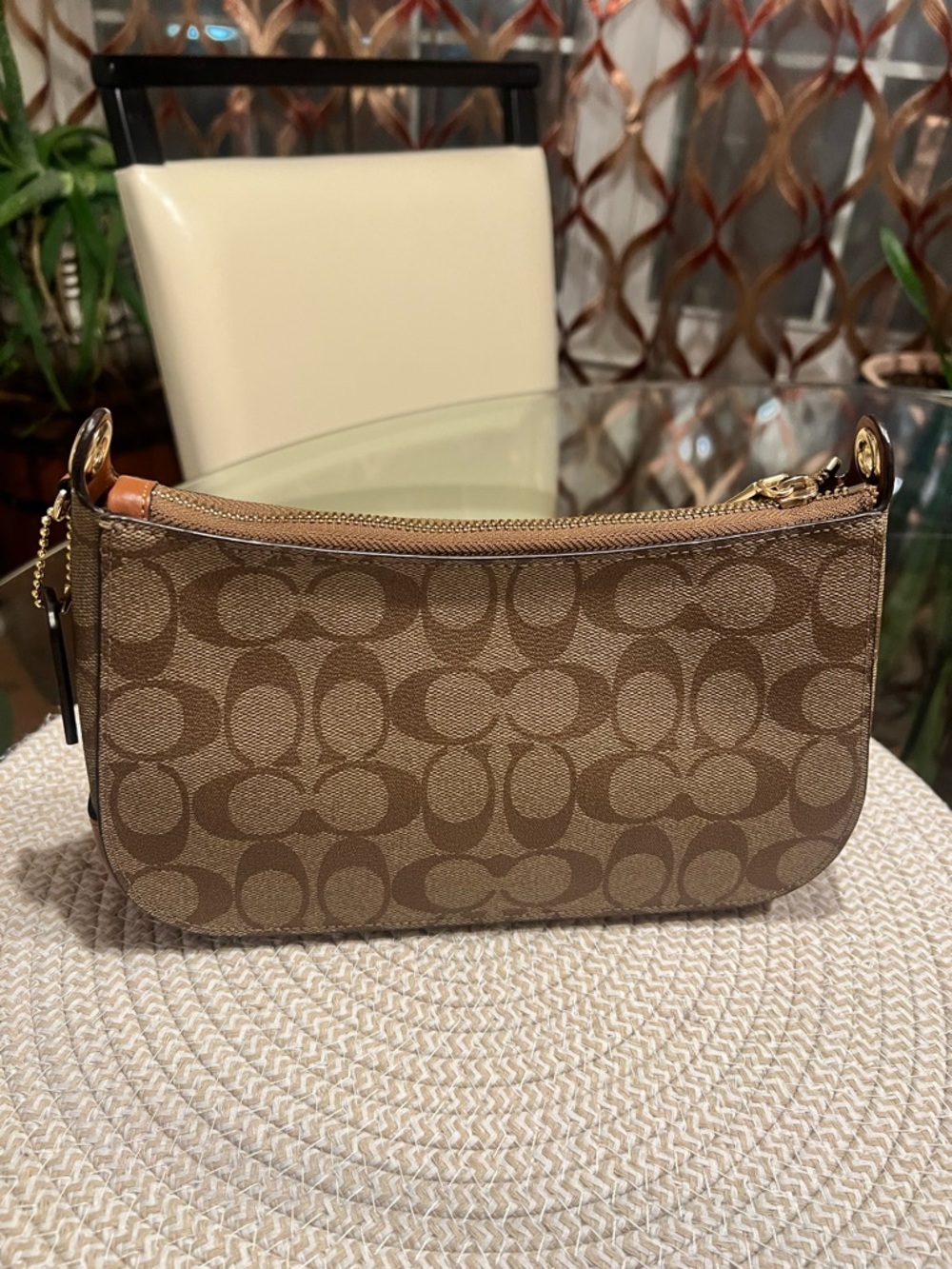 Coach Brown Signature Crossbody with Rainbow Strap - Picture 9 of 9
